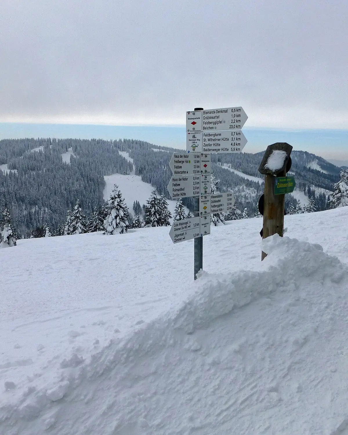 Verschneiter Wegweiser am Feldberg im Schwarzwald