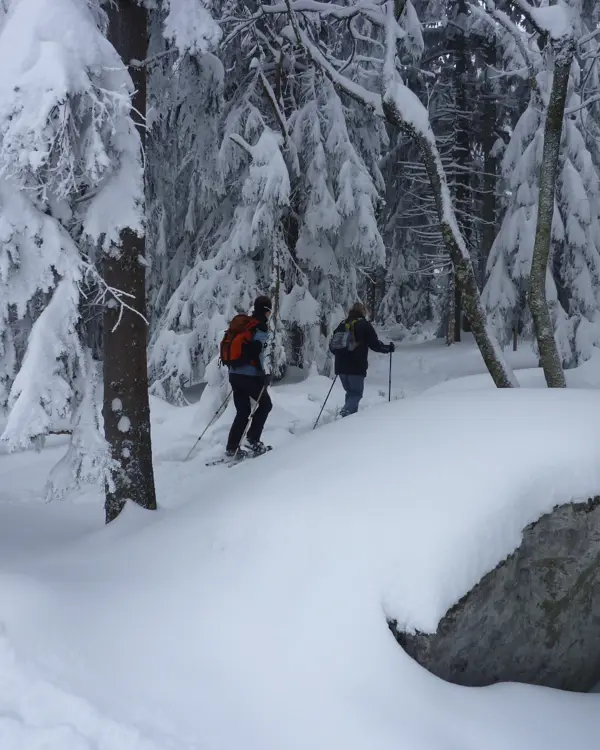 Zwei Schneeschuhwanderer im tief verschneiten Wald an der Käsplatte bei St. Englmar, Bayerischer Wald
